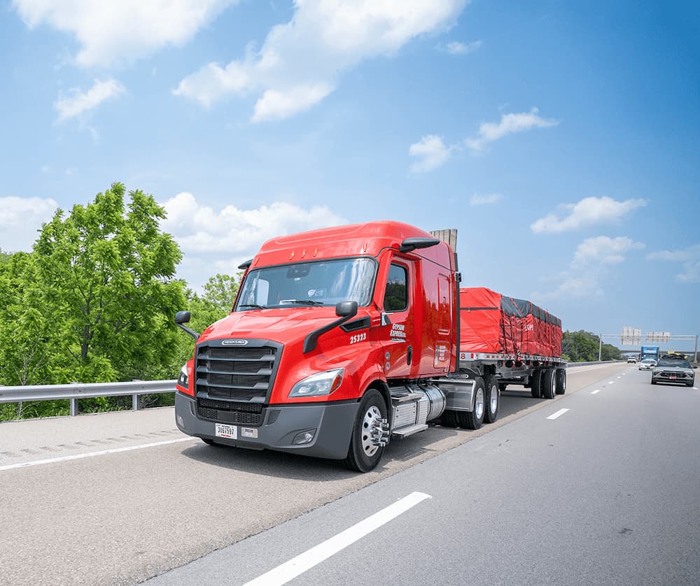 Team member portrait